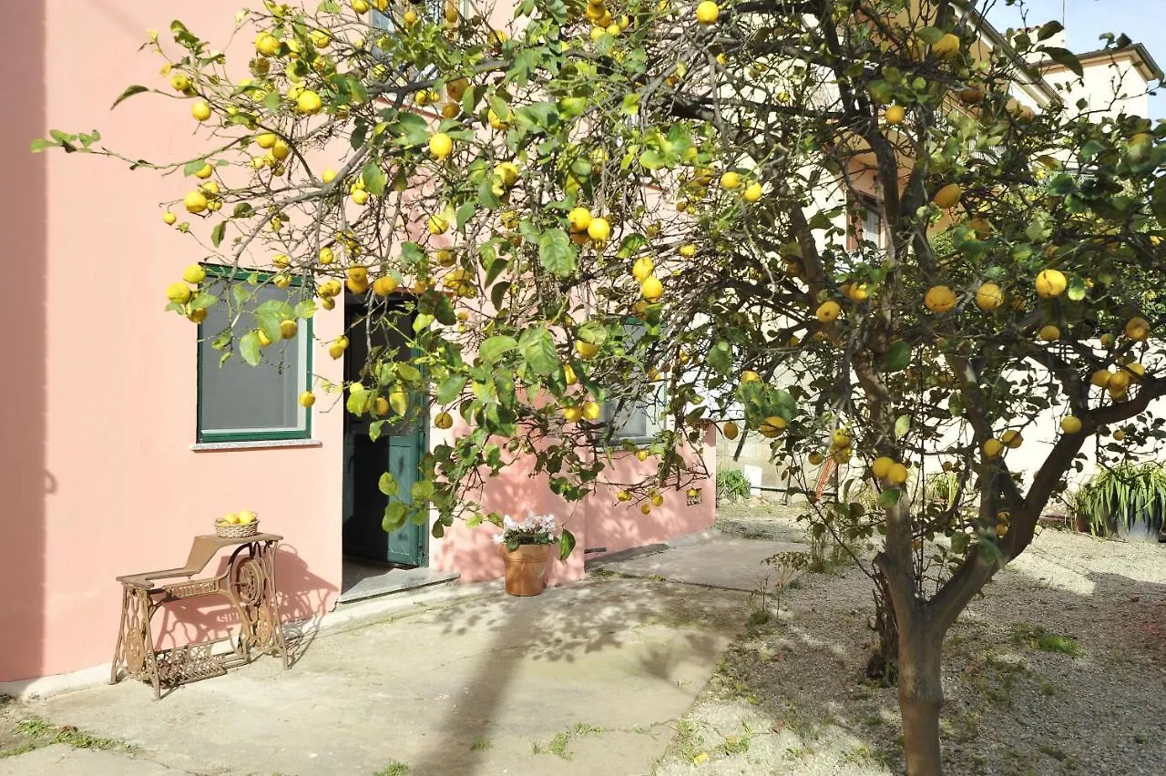 Lotzorai: Casa Vacanze Da Fiorella Apartment